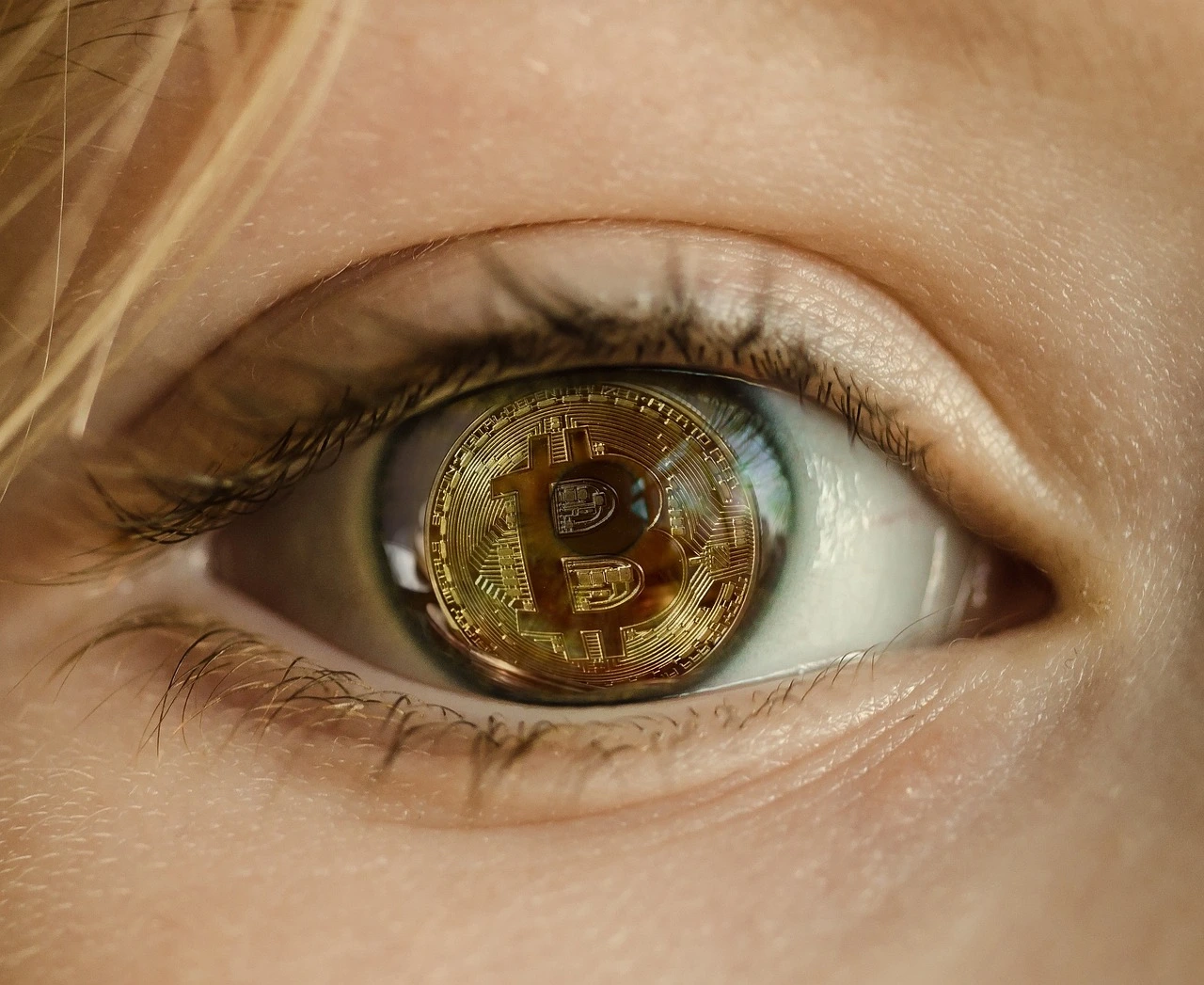 Cryptocurrency Market: A Comprehensive Guide for Beginners