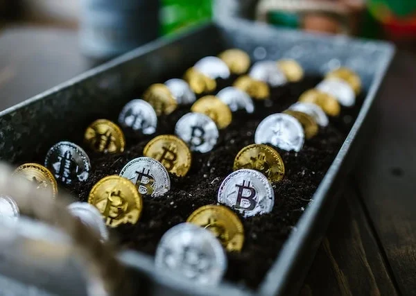 an open box representing a wallet holding crypto currency coins