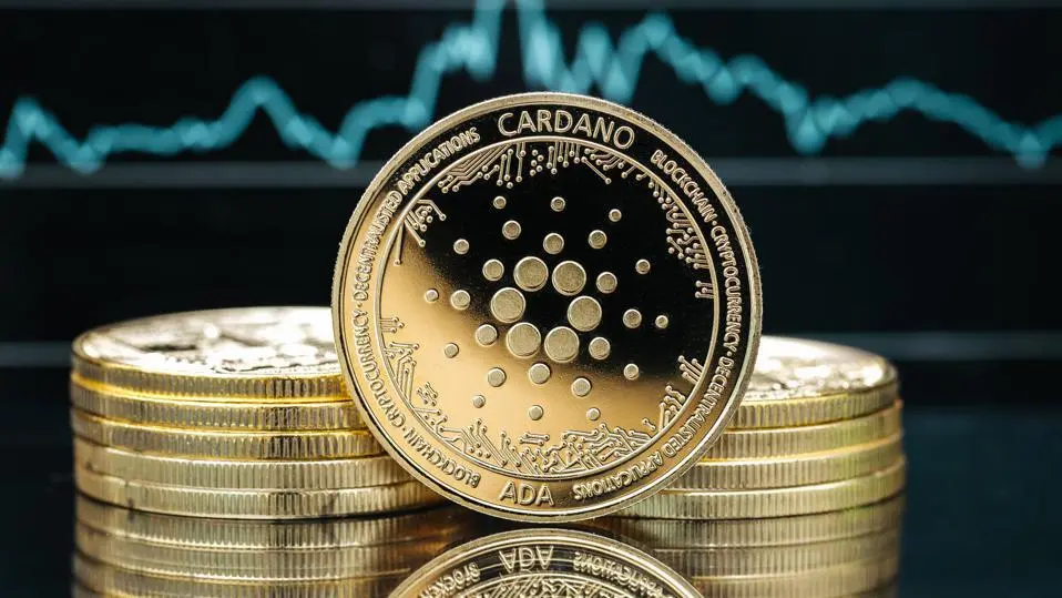 a close up of a coin, Cardano logo . coin is on a desk